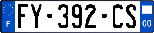FY-392-CS