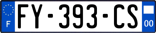 FY-393-CS