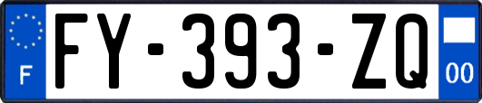 FY-393-ZQ