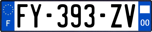 FY-393-ZV