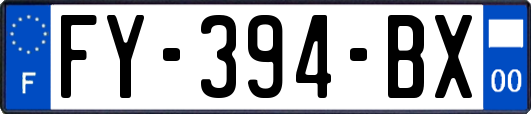 FY-394-BX