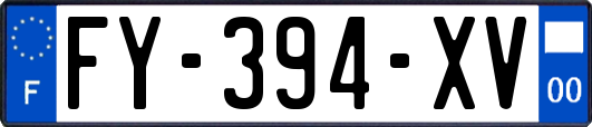 FY-394-XV