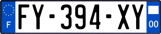 FY-394-XY