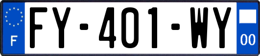 FY-401-WY