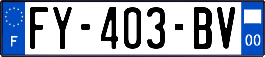 FY-403-BV