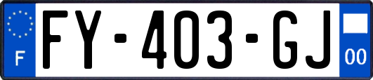 FY-403-GJ