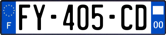 FY-405-CD