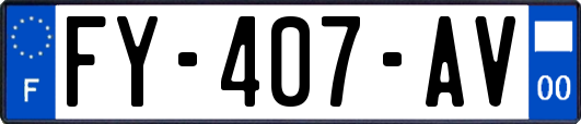 FY-407-AV