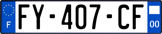 FY-407-CF