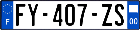 FY-407-ZS