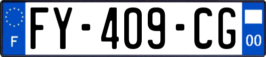 FY-409-CG