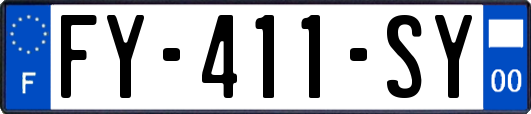 FY-411-SY