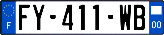 FY-411-WB