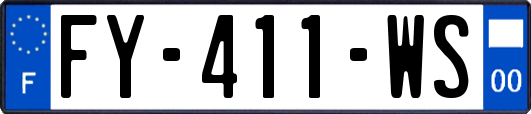 FY-411-WS