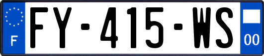 FY-415-WS