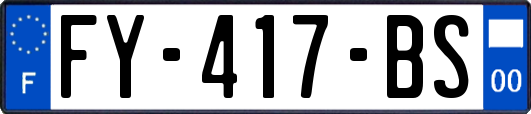 FY-417-BS