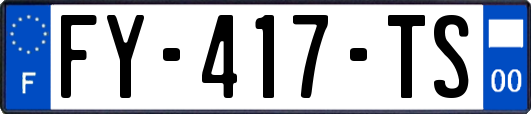 FY-417-TS
