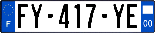 FY-417-YE