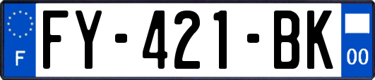 FY-421-BK