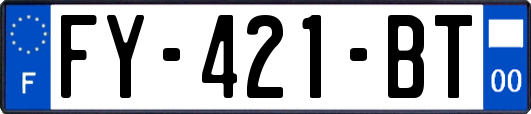 FY-421-BT