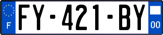 FY-421-BY