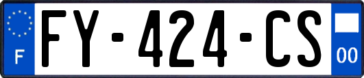 FY-424-CS