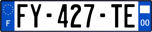 FY-427-TE