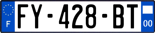 FY-428-BT
