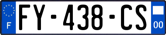 FY-438-CS