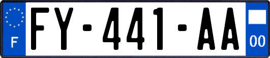 FY-441-AA