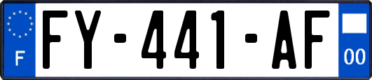 FY-441-AF