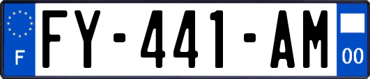 FY-441-AM
