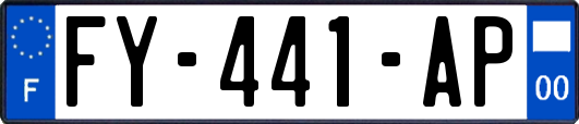 FY-441-AP