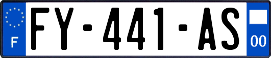 FY-441-AS