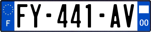 FY-441-AV