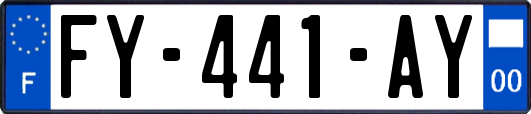 FY-441-AY