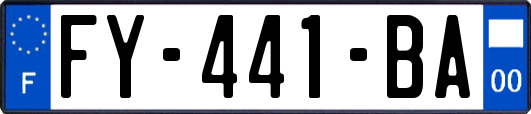 FY-441-BA