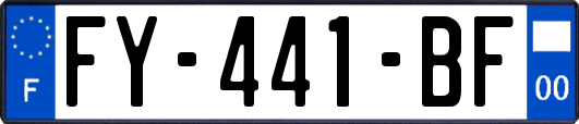 FY-441-BF