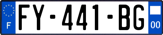 FY-441-BG