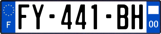 FY-441-BH