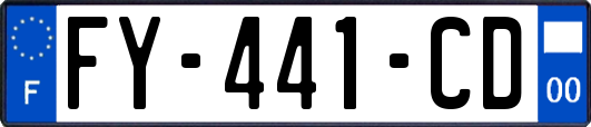 FY-441-CD