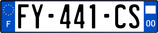 FY-441-CS