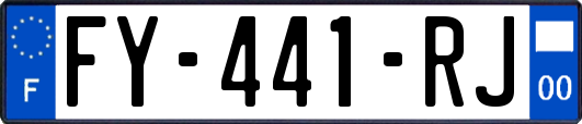 FY-441-RJ