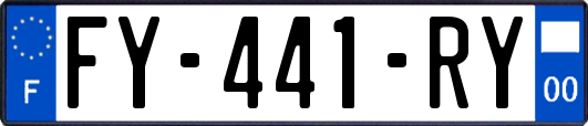 FY-441-RY