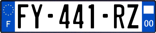 FY-441-RZ