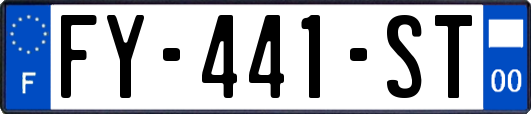 FY-441-ST