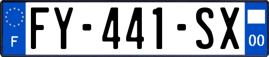 FY-441-SX