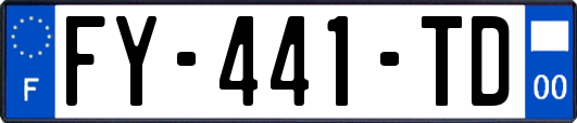 FY-441-TD