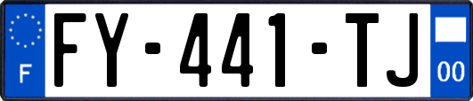 FY-441-TJ