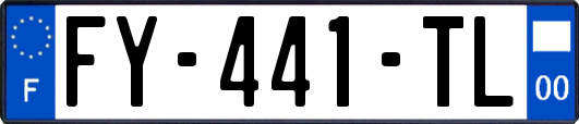 FY-441-TL